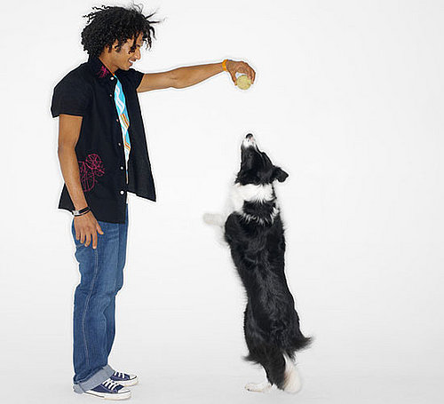 Do Tell: Does Your Dog Have a Fave Play Partner at Home?