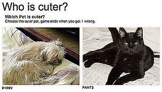 Have You Played "Which Pet Is Cuter?" for Money Yet?!