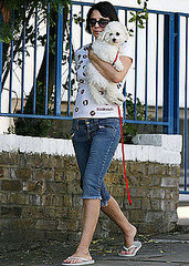 Can You Name Sadie Frost's Pooch? Can You Name Sadie Frost's Pooch?