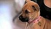 Chloe's Big Debut on The Hills!