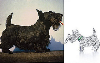 Trend Setters: Scotties