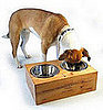 Pampered Pals: Whiner and Diner Feeders