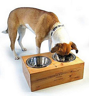 Pampered Pals: Whiner and Diner Feeders