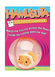 Lil Find: Hamusuta
