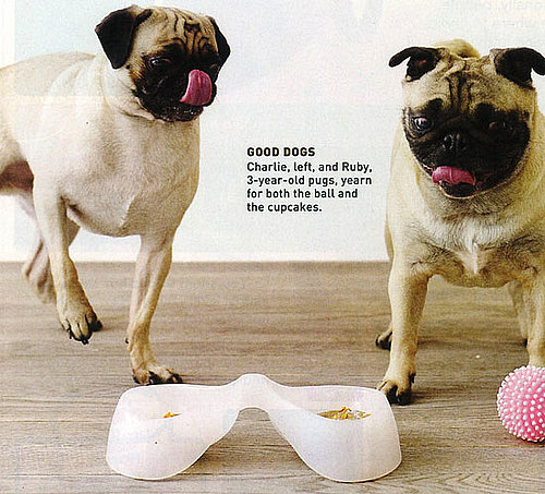 Penny Cupcakes for Your Lil Pupcakes!