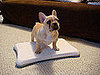 Growing Up Samson: Even Puppies Love Wii Fit!
