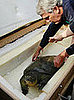Happy World Turtle Day!