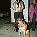 Cher