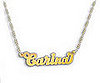 Would You Wear a Pet's Name Around Your Neck?