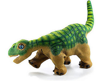 I Need Your Help . . . Name PetSugar's New Pet!
