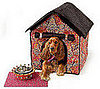This (New) Home: Sweet Home