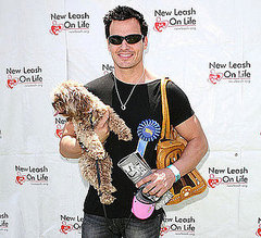 How Much Does It Cost to Carry a Pet in a Real Ostrich Bag? How Much Does It Cost to Carry a Pet in a Real Ostrich Bag?