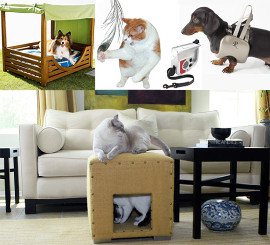 Pet's June Must Haves Pet's June Must Haves