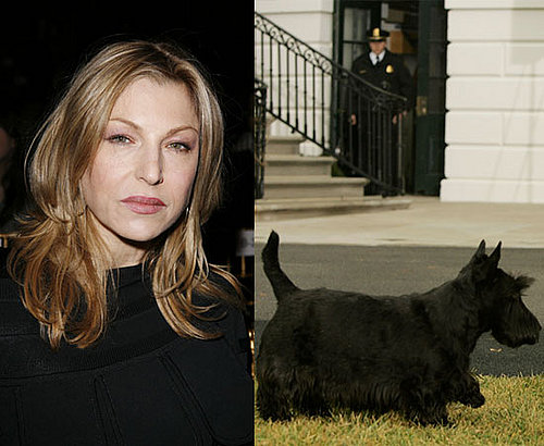 What's Your Take: Tatum Buys Drugs Because of Dog's Death?