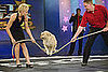 Do Tell: Could You Date Someone Who Didn't Like Animals?