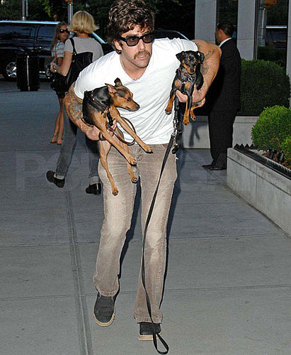 New Puppy Alert! Adam Goldberg