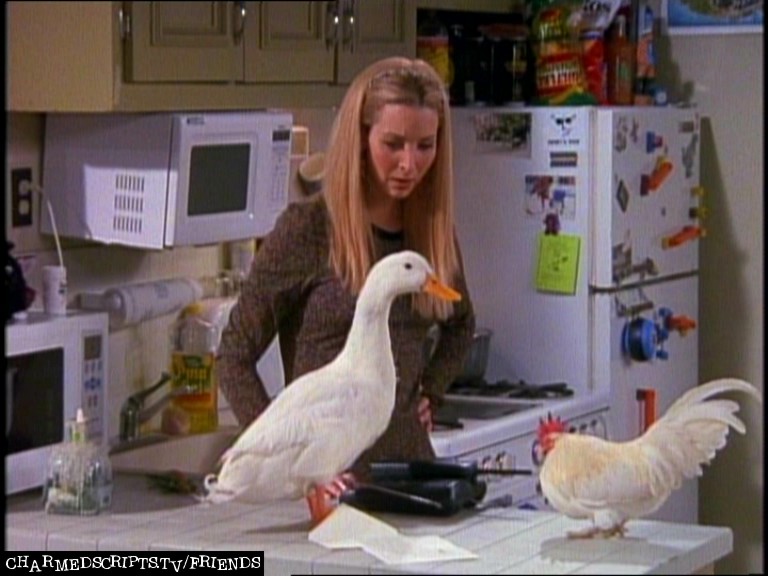 Chick and Duck Chick and Duck