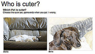 Have You Played "Which Pet Is Cuter?" for Money Yet?!