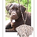 BabyFace Pets Customized Charm
