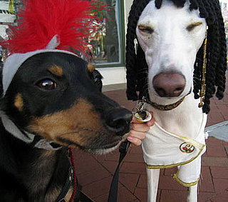Out and About: Santa Barbara's Big Dog Parade 