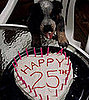 Do You Know Your Pet's Real Birth Date?