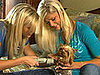 Spoiled Sweet or Spoiled Rotten: Peticure?