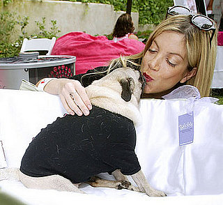 Missing Mimi LaRue: Tori Spelling's Beloved Pug Dies