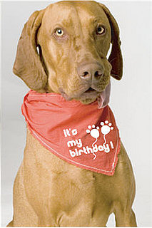 Simple Outfit Changes Get Him Noticed on Birthday Walks! 