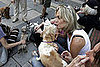 Do Tell: How Much Thought Did You Give to Dog Breed?