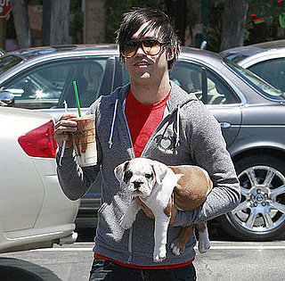 In the Spotlight: All Eyes on Rigby (and Pete Wentz)!
