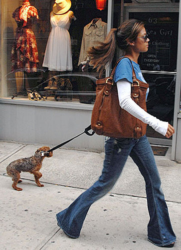 In the Spotlight: Wookie Wants to Window Shop