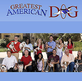 Meet the Contestants of Greatest American Dog