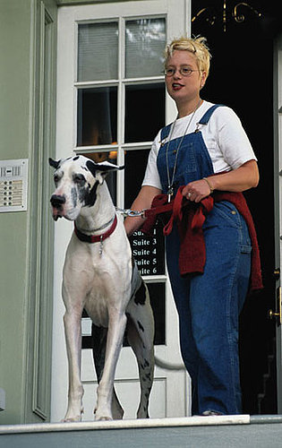 Do Tell: Renting With Pets?