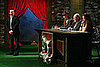 Greatest American Dog: What's Funniest?