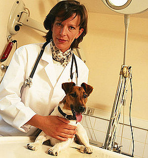 When Was Your Pet Fixed?