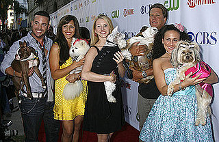 The Greatest American Dog Dressed to Impress at the TCAs!