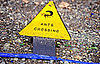 I Need Your Help . . . Ant Invasion!