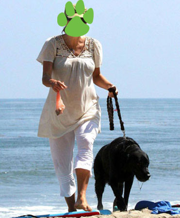Guess Who? Guess Who?