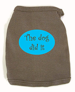 Do Tell: Have You Ever Blamed Something on Your Pet?
