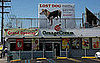 Dov Charney Loses Dog (Maybe): In the LINK of an Eye!