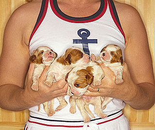 How Old Was Your Pet When It Came Home?