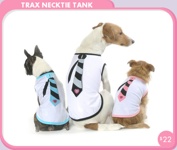 Come PetMarking With Me: Doggies Back-to-School Duds