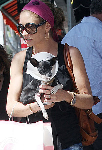 Rebecca's Got Dane and a New Dog! 