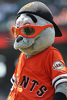 Do Tell: Have Your Dogs Ever Attended a Sporting Event?