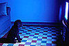 Do Tell: Do Your Pets Respond to the TV?