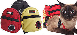 Cat's Puppia Mini Bag: Spoiled Sweet or Spoiled Rotten?