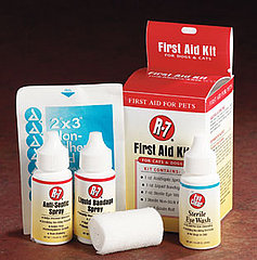 Dog Days of Summer: Treating Minor Burns