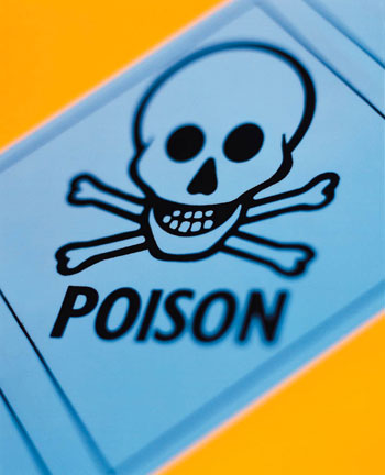Dog Days of Summer: Rat Poison 