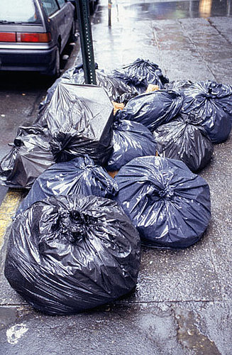 Dog Days of Summer: Keep Pets Out of the Trash!