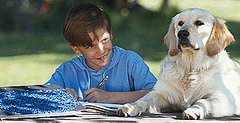 Reward Good Behavior Instead of Punishing the Bad Reward Good Behavior Instead of Punishing the Bad